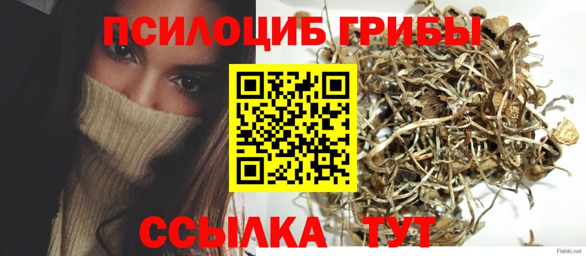 Галлюциногенные грибы Psilocybe  Вход с VPN  Каспийск 